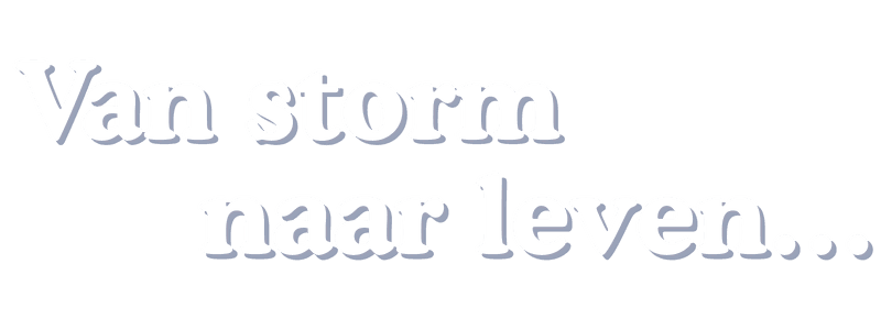Van storm naar leven...