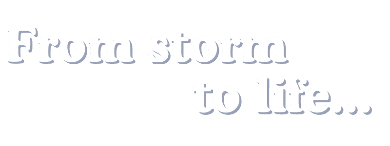From storm to life... From storm to life...